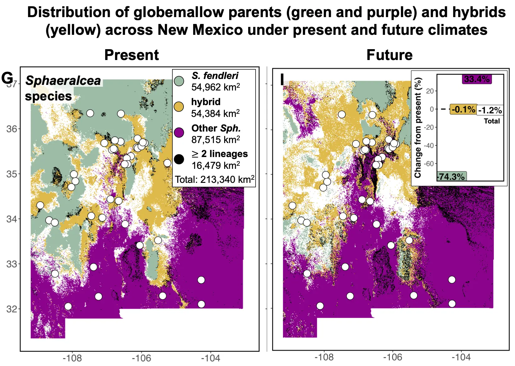 Distribution of globemallow parents and hybrids across New Mexico under present and future climates