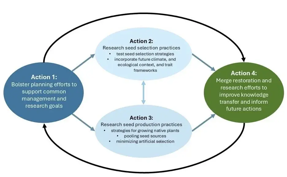 Network diagram showing research directions and coordination needs for restoration programs