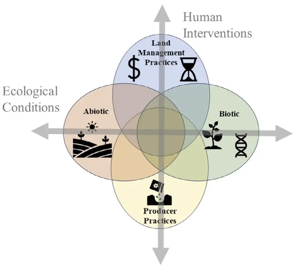 Conceptual diagram of ecological conditions and human interventions that contribute to seed selection decision-making
