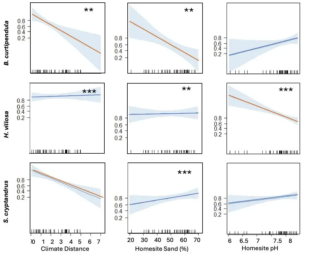 Estimated mortality effects for three native plant species across climate distance, homesite sand, and homesite pH