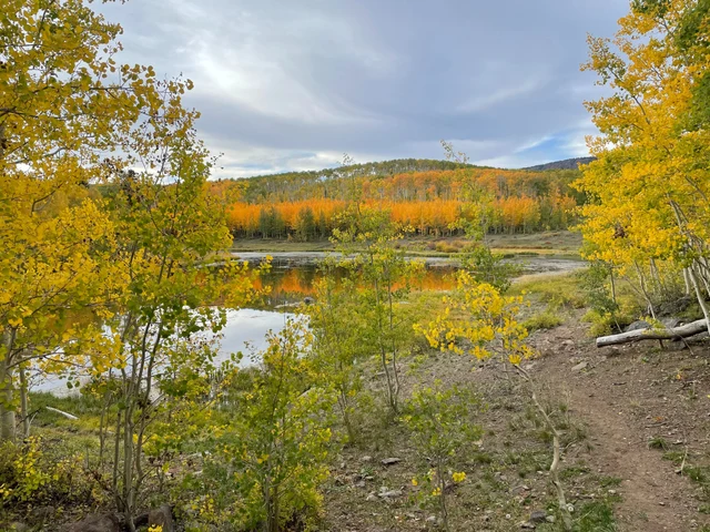Autumn trees bordering a lake