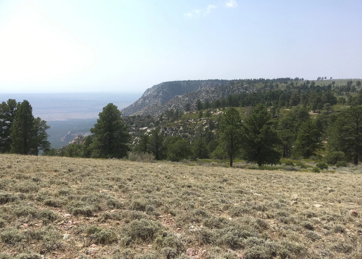 Open woodland and grassland stretching toward distant cliffs