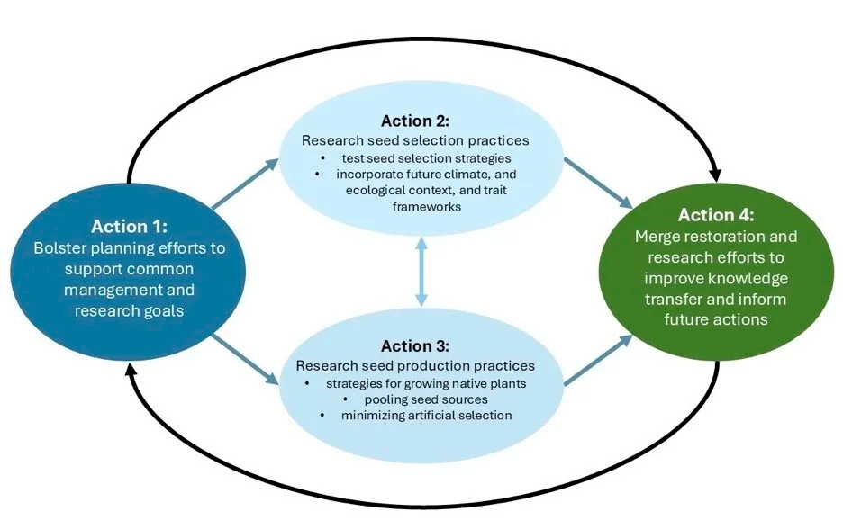 Network diagram showing research directions and coordination needs for restoration programs