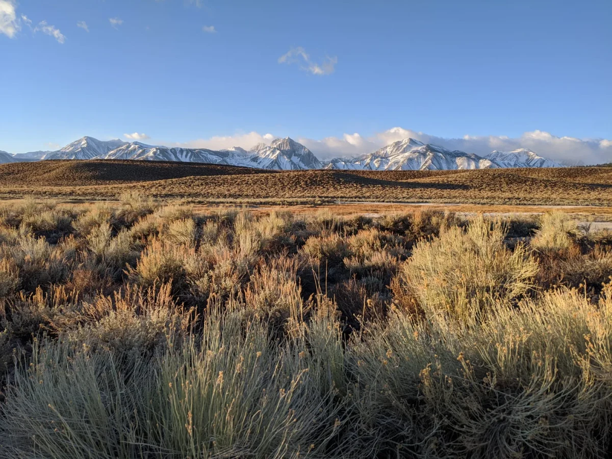 Sagebrush-covered foothills beneath snow-covered mountains and a blue sky