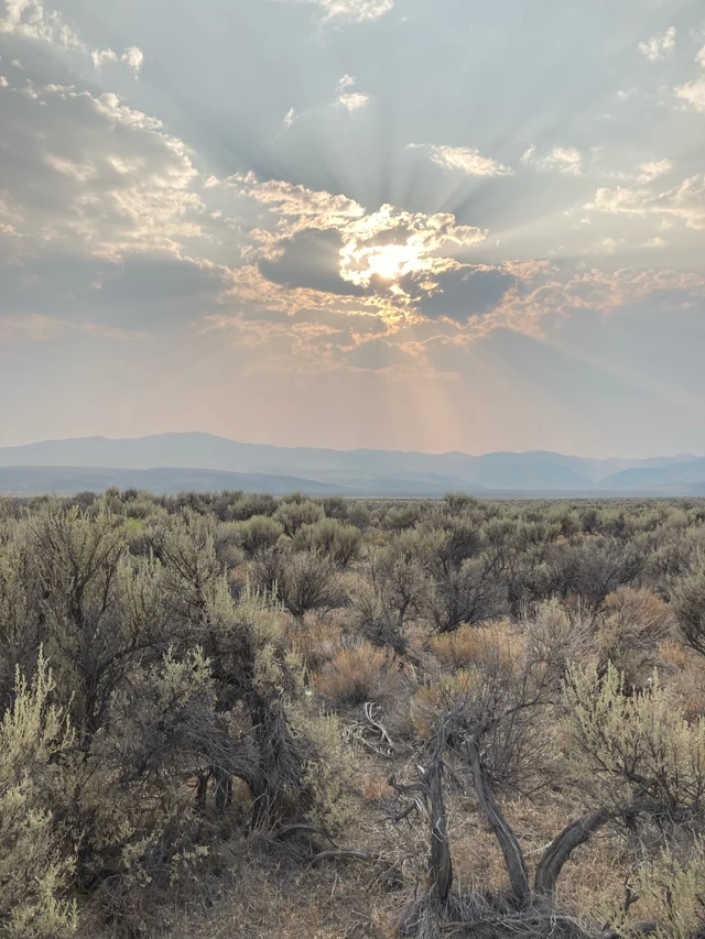 Sagebrush steppe under a clouded sky with mountains in the distance