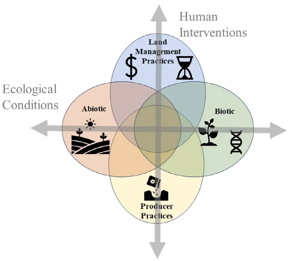 Conceptual diagram of ecological conditions and human interventions that contribute to seed selection decision-making