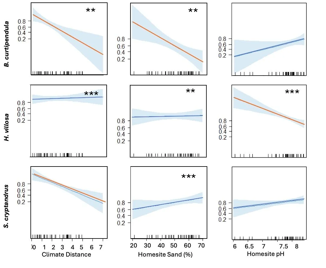 Estimated mortality effects for three native plant species across climate distance, homesite sand, and homesite pH