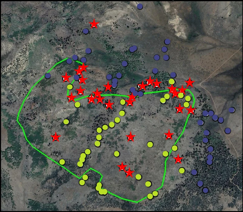 Aerial map of the Horse Valley treatment area outlined in bright green. Lime-green circles, red stars, and blue circles mark sampled common yarrow plants in and near the boundary.