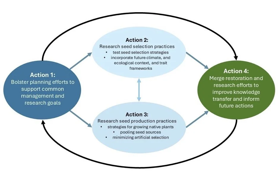 Network diagram showing research directions and coordination needs for restoration programs