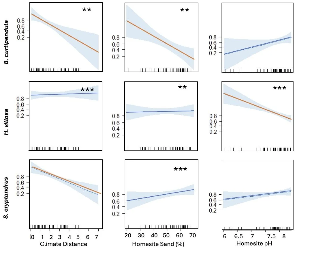 Estimated mortality effects for three native plant species across climate distance, homesite sand, and homesite pH